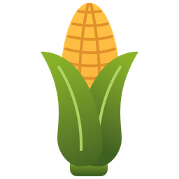 Corn  Icon