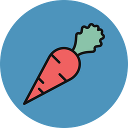 Carrot Food Health Icon