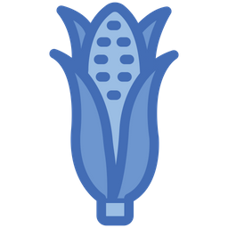 Corn  Icon