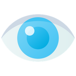 Eye  Icon