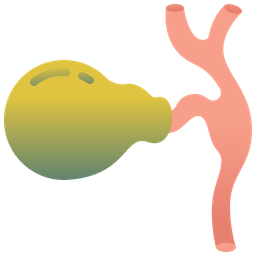 Gallbladder  Icon