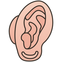 Ear  Icon