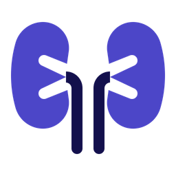 Kidney  Icon