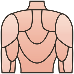 Back Dorsal  Icon