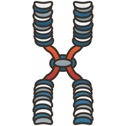 염색체  아이콘