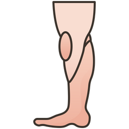 Leg  Icon