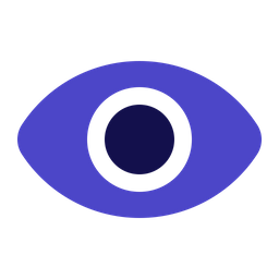 Eye  Icon