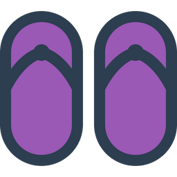 Flip Flops  Icon