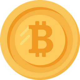 Bitcoin Coin  Icon