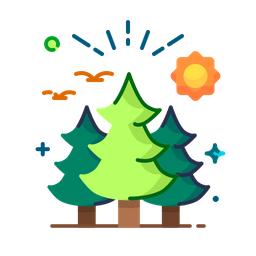 Forest  Icon