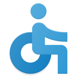 Accessibility  Icon