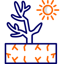 Coral  Icon