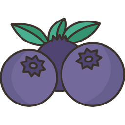 Blaubeeren  Symbol