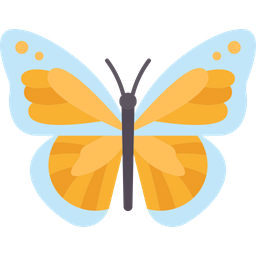 Butterfly  Icon