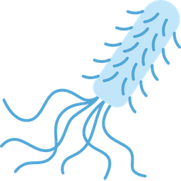 Bacteria  Icon