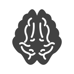 Brain  Icon