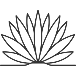 Agave  Icon