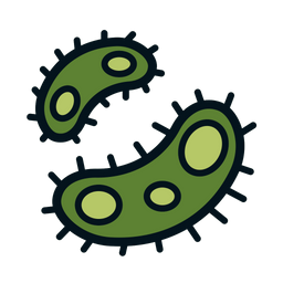 Bacteria  Icon