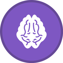 Brain  Icon