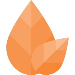 Leaf  Icon