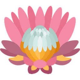 King Protea  Icon