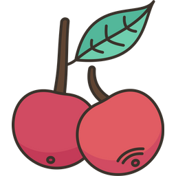 Cherry  Icon