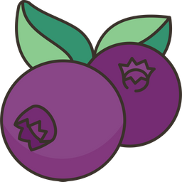 Blueberry  Icon