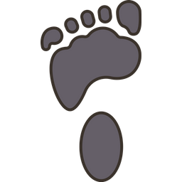 Footprint  Icon