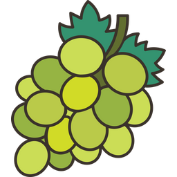 Grapes  Icon