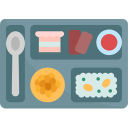 Food Dish  Icon