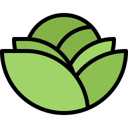 Cabbage  Icon