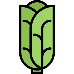 Cabbage  Icon