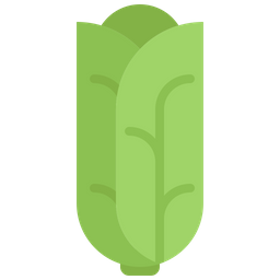 Cabbage  Icon