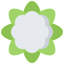 Cauliflower  Icon