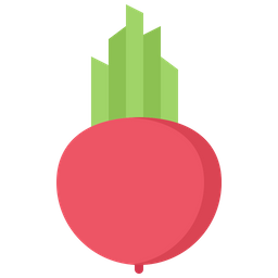 Beet  Icon