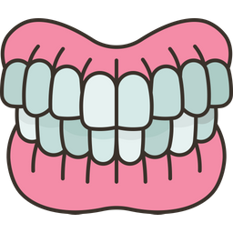 Denture  Icon