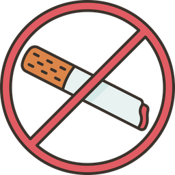 No Smoke  Icon