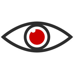 Eye  Icon