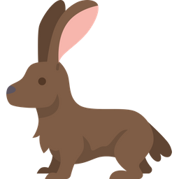 Hare  Icon