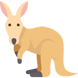 Kangaroo  Icon