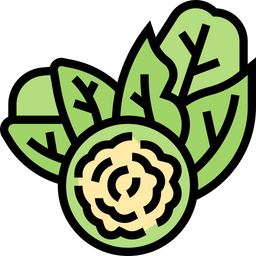 Brussel Sprouts  Icon