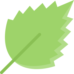 Birch  Icon