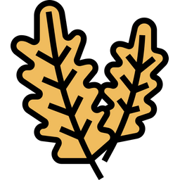 Rucola  Symbol