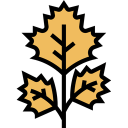 Coriander Leaf  Icon