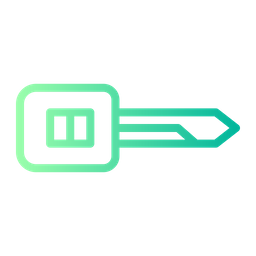 Car Key  Icon