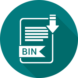 Bin file  Icon