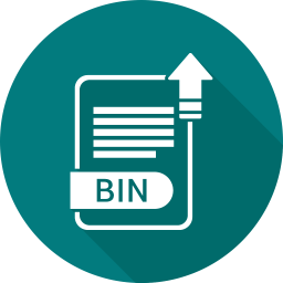 Bin file  Icon