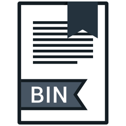 Bin file  Icon