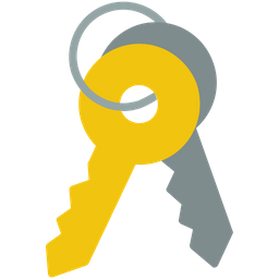 Access Key  Icon