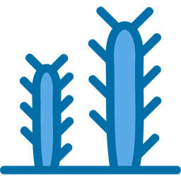 Cactus  Icon